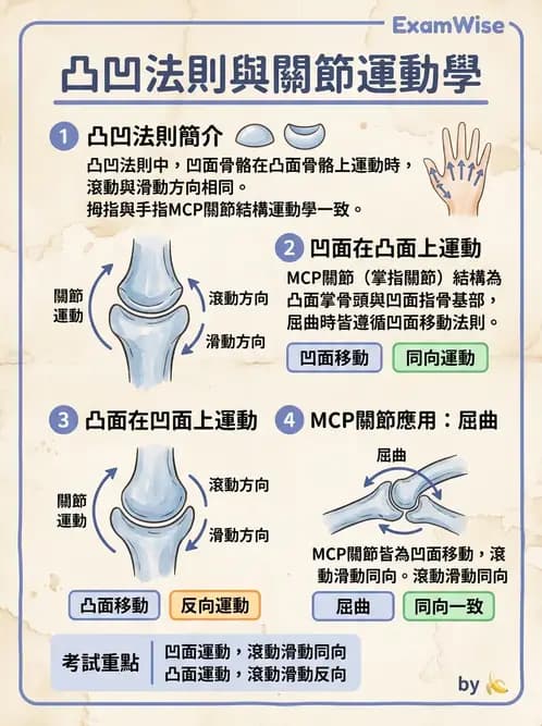 物治 - 關節運動學與生物力學計算 - AI 圖文解析預覽