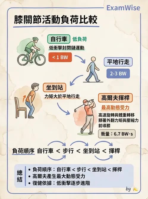 物治 - 膝關節肌動學與生物力學 - AI 圖文解析預覽