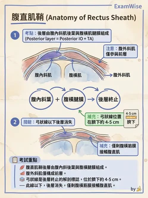 物治 - 軀幹肌動學與生物力學 - AI 圖文解析預覽