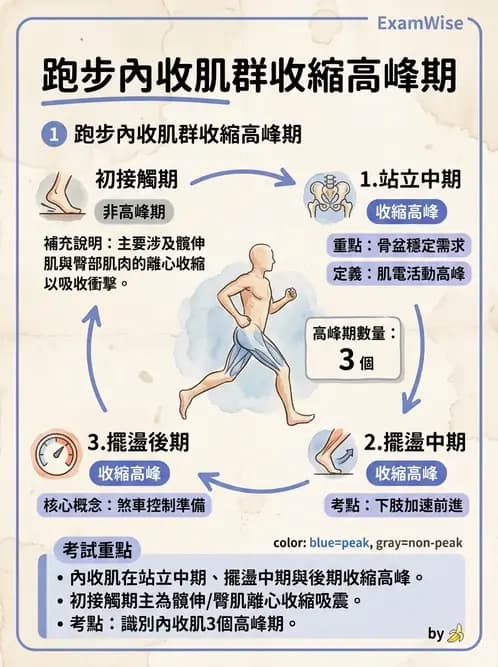 物治 - 步態週期與生物力學 - AI 圖文解析預覽