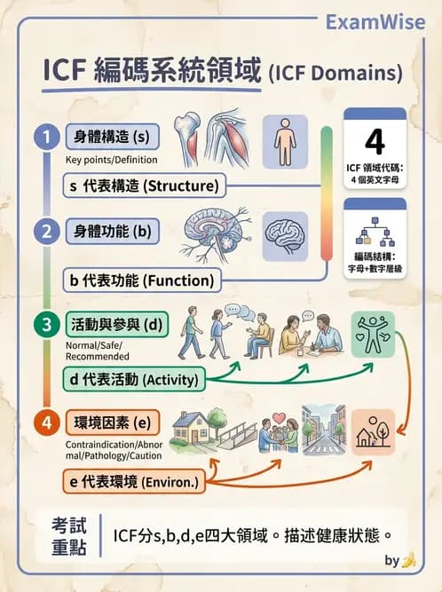 物治 - 病歷與紀錄管理 - AI 圖文解析預覽