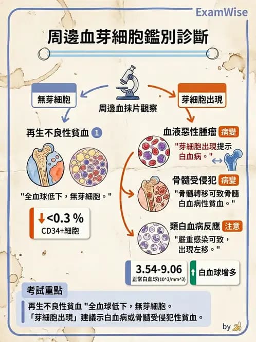 物治 - 腫瘤與其他臨床醫學 - AI 圖文解析預覽