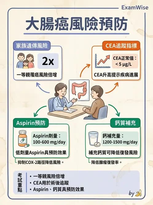 物治 - 腫瘤與其他臨床醫學 - AI 圖文解析預覽