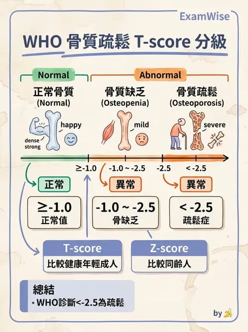 物治 - 骨科與外科疾病 - AI 圖文解析預覽