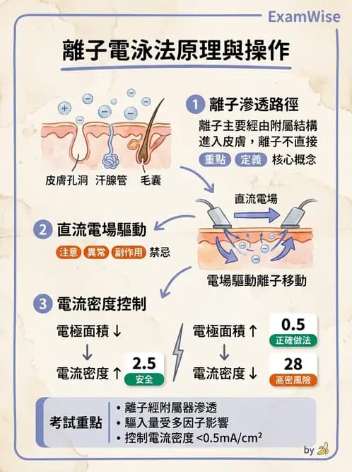 物治 - 離子導入法 - AI 圖文解析預覽
