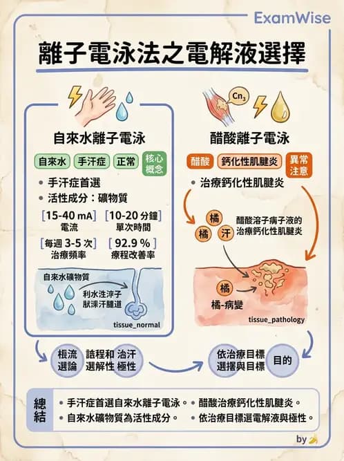 物治 - 離子導入法 - AI 圖文解析預覽
