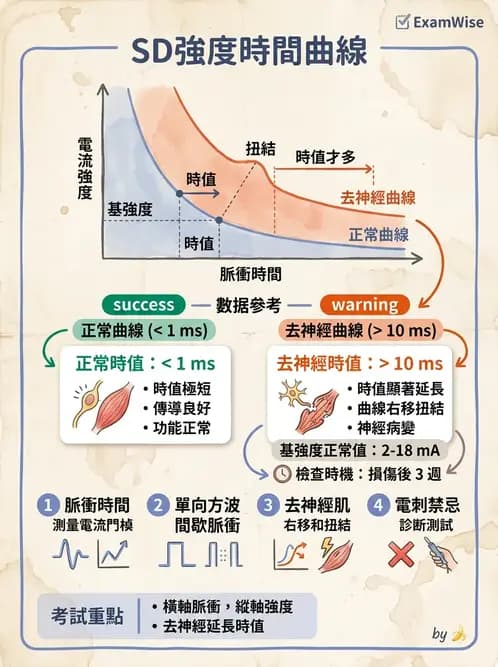 物治 - 電生理診斷 - AI 圖文解析預覽