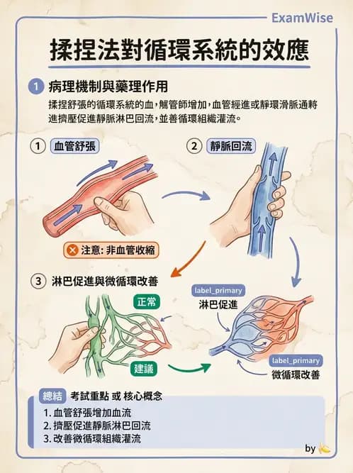 物治 - 瑞典式按摩與運動按摩 - AI 圖文解析預覽