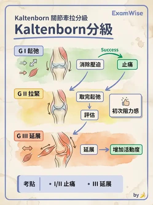 物治 - 鬆動術分級理論 - AI 圖文解析預覽