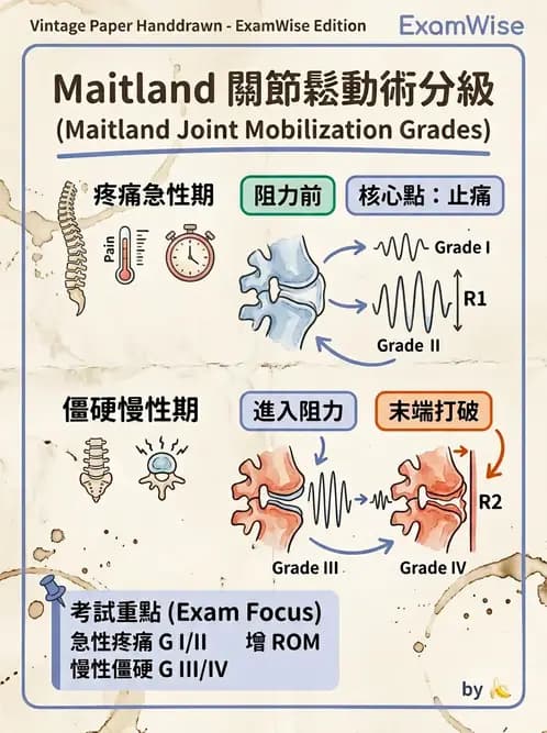 物治 - 鬆動術分級理論 - AI 圖文解析預覽