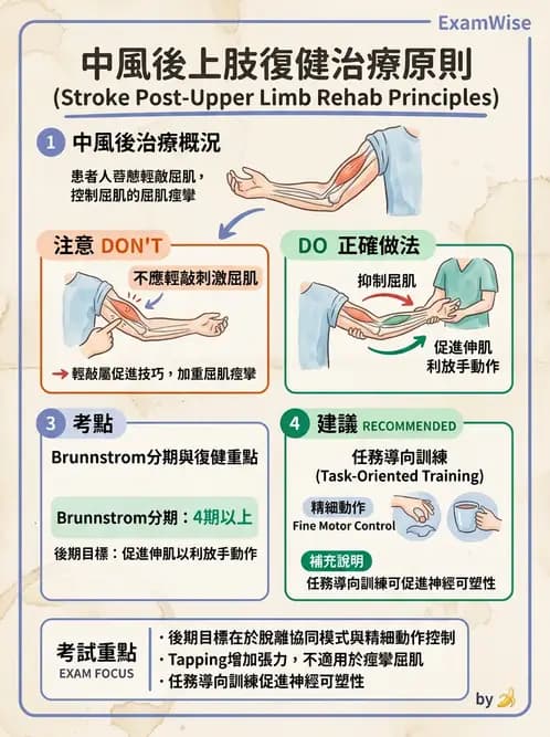 物治 - 功能評估與再教育 - AI 圖文解析預覽