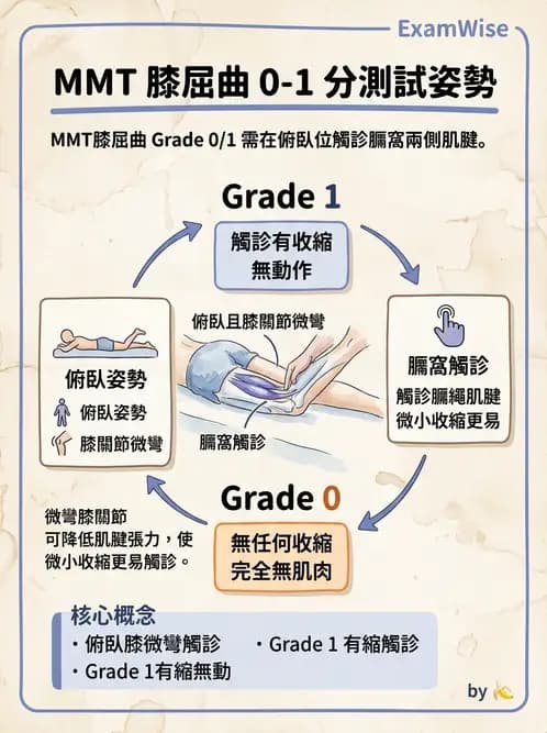 物治 - 下肢徒手肌力測試 - AI 圖文解析預覽