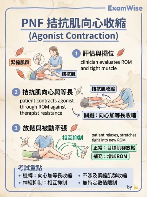 物治 - ROM通則與關節運動 - AI 圖文解析預覽