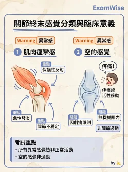 物治 - ROM通則與關節運動 - AI 圖文解析預覽