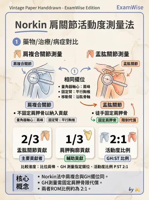 物治 - 上肢關節活動度 - AI 圖文解析預覽