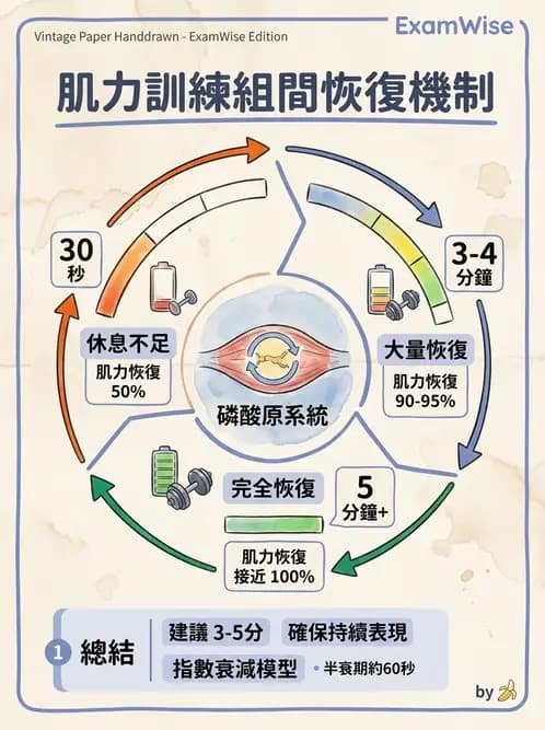 物治 - 肌力訓練方法 - AI 圖文解析預覽
