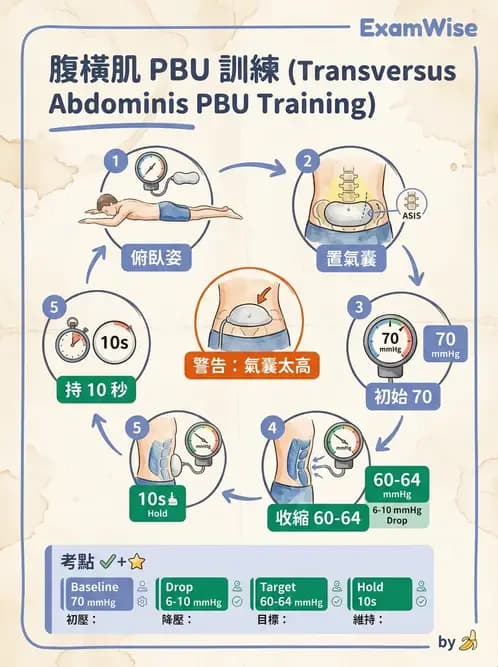 物治 - 核心穩定與功能性訓練 - AI 圖文解析預覽