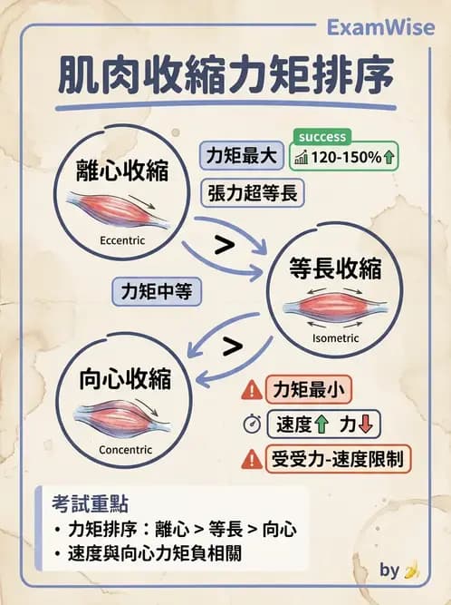 物治 - 肌力訓練方法 - AI 圖文解析預覽