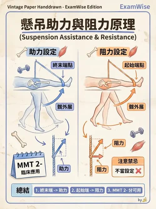 物治 - 懸吊系統與放鬆 - AI 圖文解析預覽