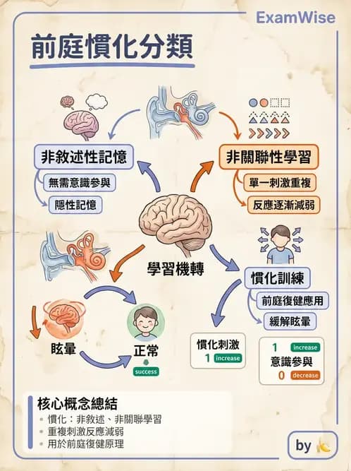物治 - 動作學習 - AI 圖文解析預覽