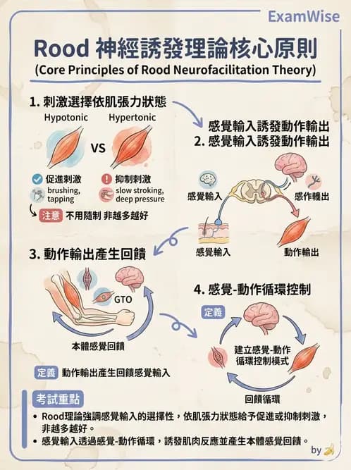 物治 - 神經治療學派技術 - AI 圖文解析預覽