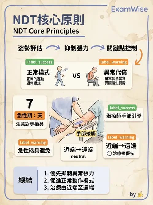 物治 - 神經治療學派技術 - AI 圖文解析預覽