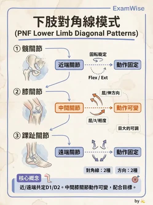 物治 - 神經治療學派技術 - AI 圖文解析預覽