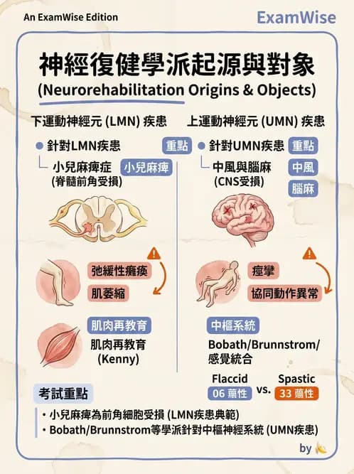 物治 - 神經治療學派技術 - AI 圖文解析預覽