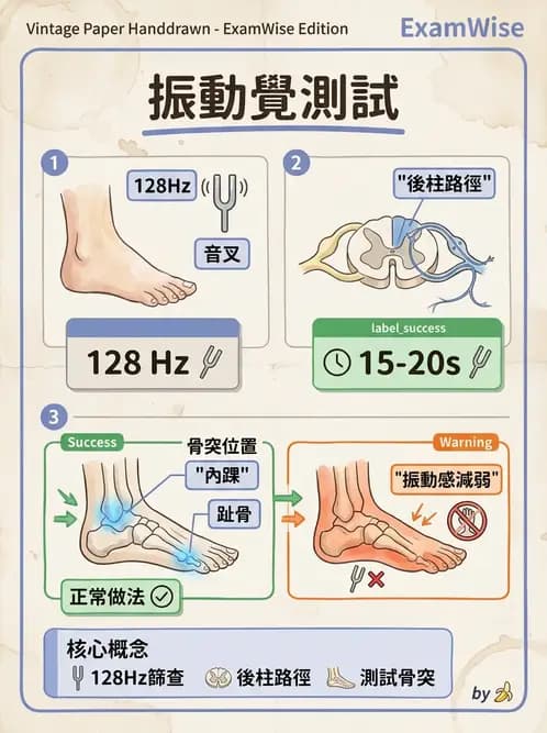 物治 - 神經物理治療評估工具 - AI 圖文解析預覽