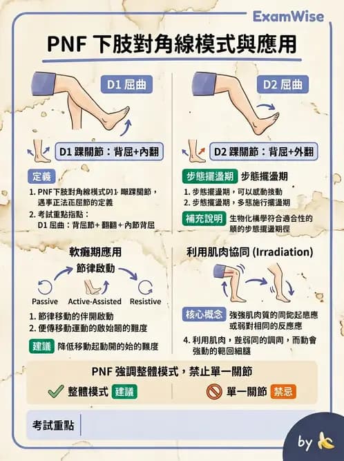 物治 - 腦中風治療手法應用 - AI 圖文解析預覽