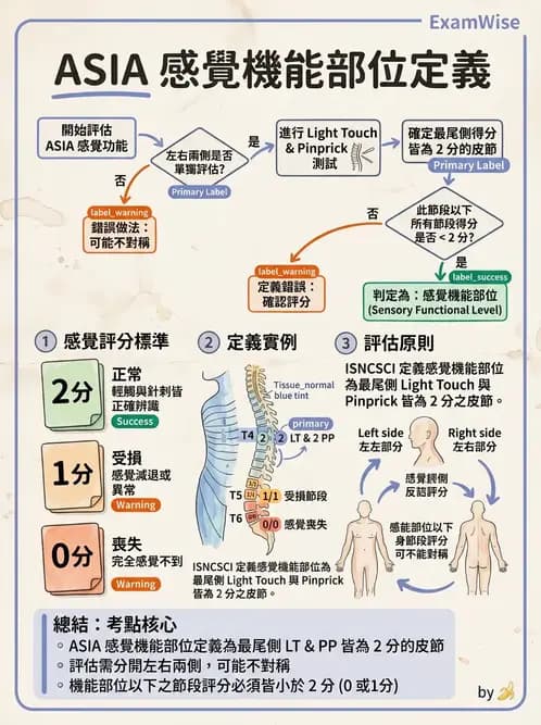 物治 - SCI評估分類與症候群 - AI 圖文解析預覽