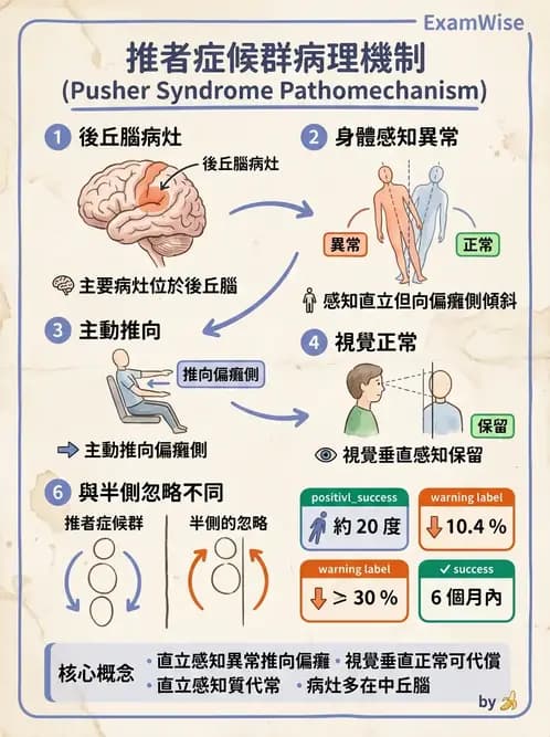 物治 - 腦中風感覺知覺與認知 - AI 圖文解析預覽