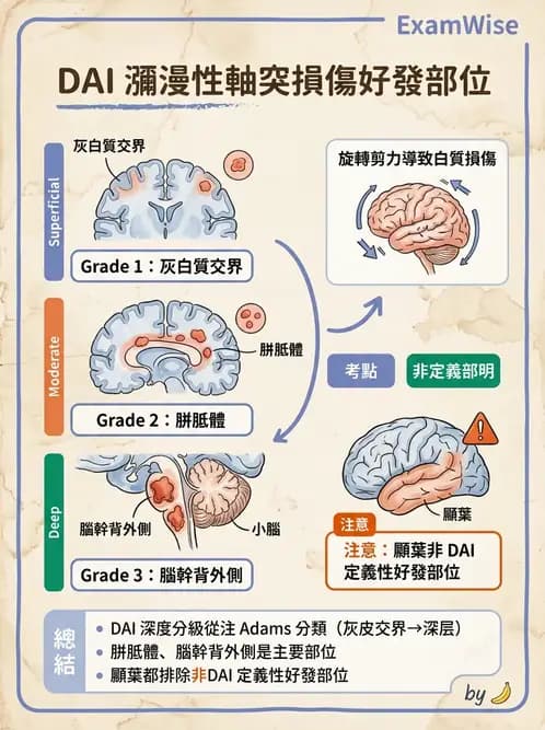 物治 - TBI病理評估與GCS - AI 圖文解析預覽