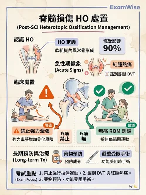 物治 - SCI併發症與呼吸管理 - AI 圖文解析預覽