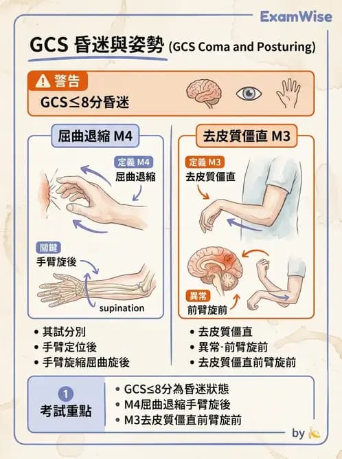 物治 - TBI病理評估與GCS - AI 圖文解析預覽