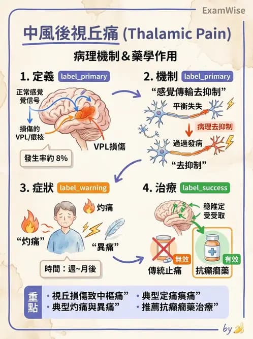 物治 - 腦中風感覺知覺與認知 - AI 圖文解析預覽
