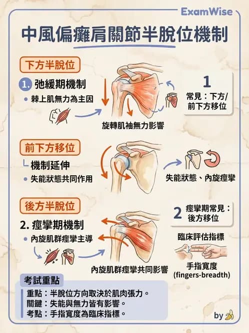 物治 - 腦中風上肢肩部與體適能 - AI 圖文解析預覽
