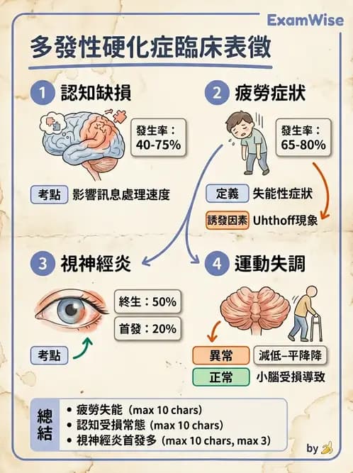 物治 - 多發性硬化症物理治療 - AI 圖文解析預覽