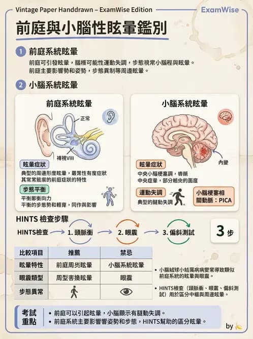 物治 - 前庭系統與前庭復健 - AI 圖文解析預覽