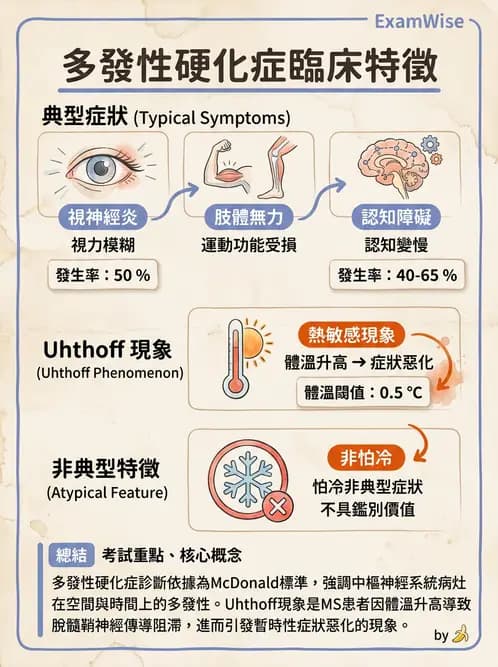 物治 - 多發性硬化症物理治療 - AI 圖文解析預覽