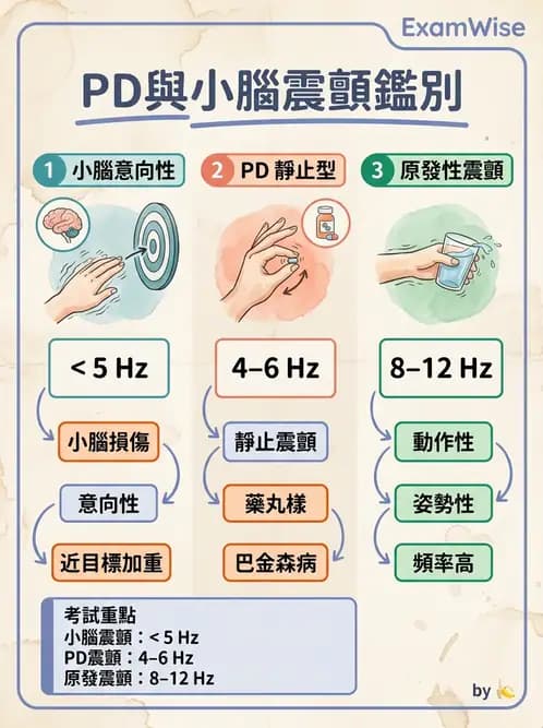 物治 - 小腦疾病物理治療 - AI 圖文解析預覽