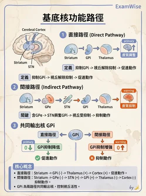 物治 - 動作控制理論 - AI 圖文解析預覽