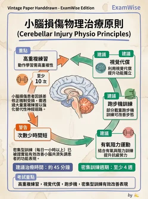 物治 - 小腦疾病物理治療 - AI 圖文解析預覽