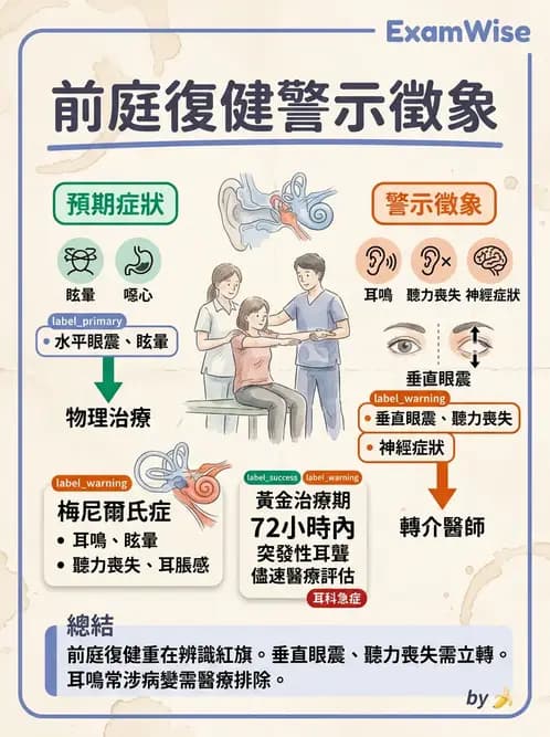 物治 - 前庭系統與前庭復健 - AI 圖文解析預覽