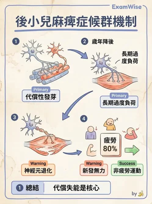 物治 - 神經肌肉疾病 - AI 圖文解析預覽
