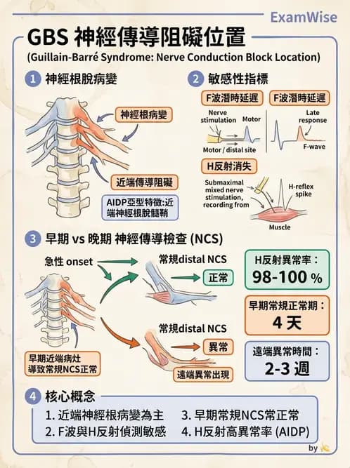 物治 - 神經肌肉疾病 - AI 圖文解析預覽