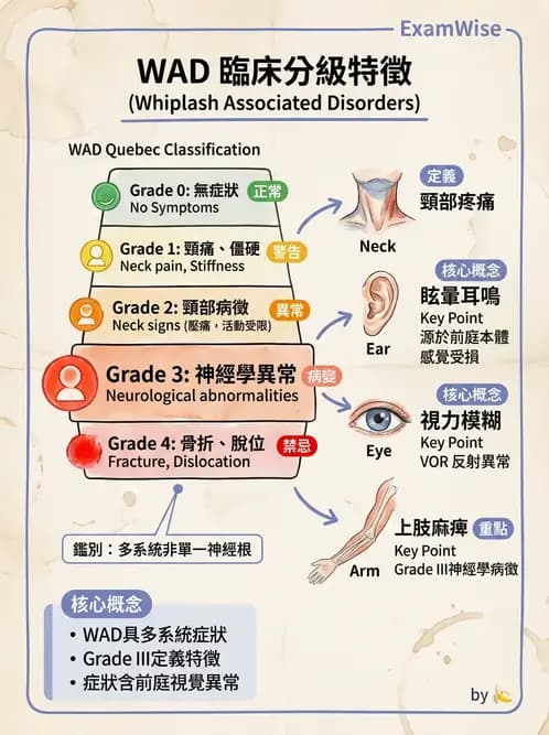 物治 - 頸椎評估與病理 - AI 圖文解析預覽