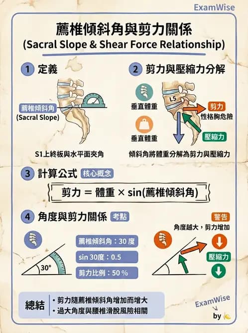 物治 - 腰椎椎間盤與脊椎狹窄 - AI 圖文解析預覽