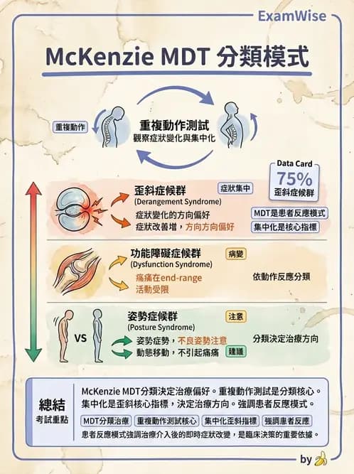 物治 - 腰椎穩定訓練與治療原則 - AI 圖文解析預覽