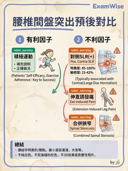物治 - 腰椎椎間盤與脊椎狹窄 - AI 圖文解析預覽